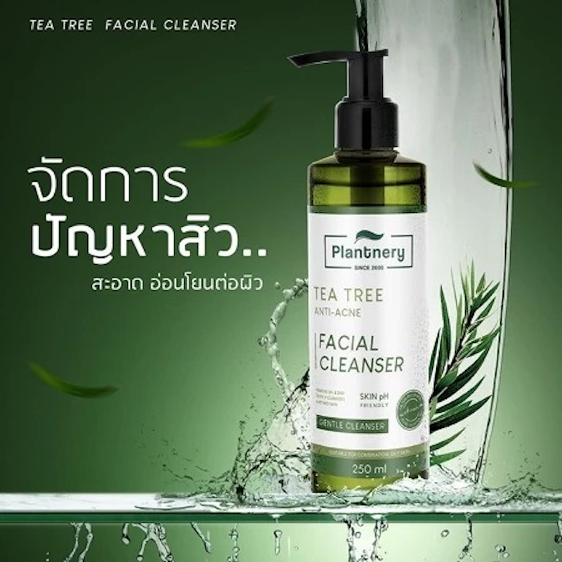 Tea Tree Facial Cleanser 2