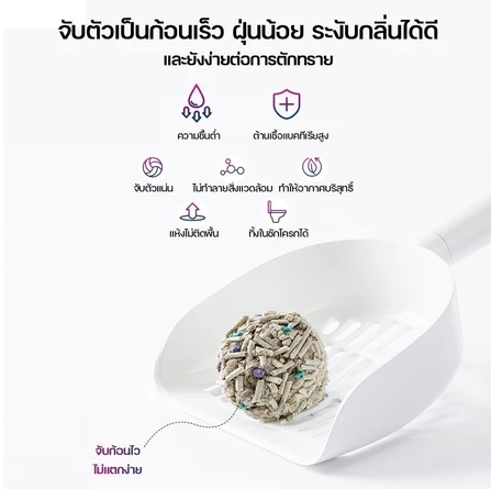 ทรายแมวผสม 5 in 1 3