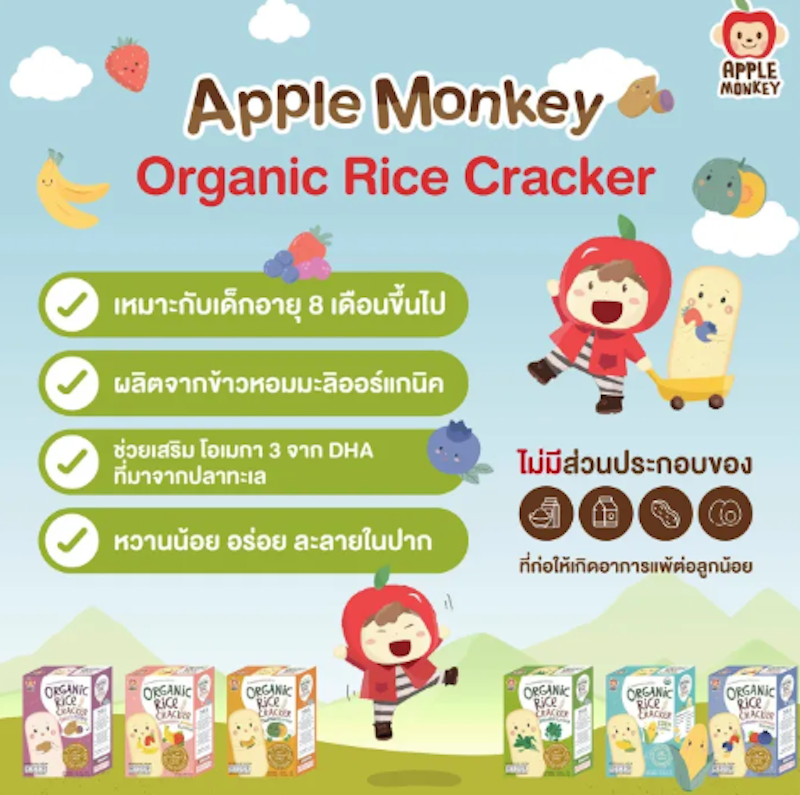 Organic Rice Cracker Corn 2