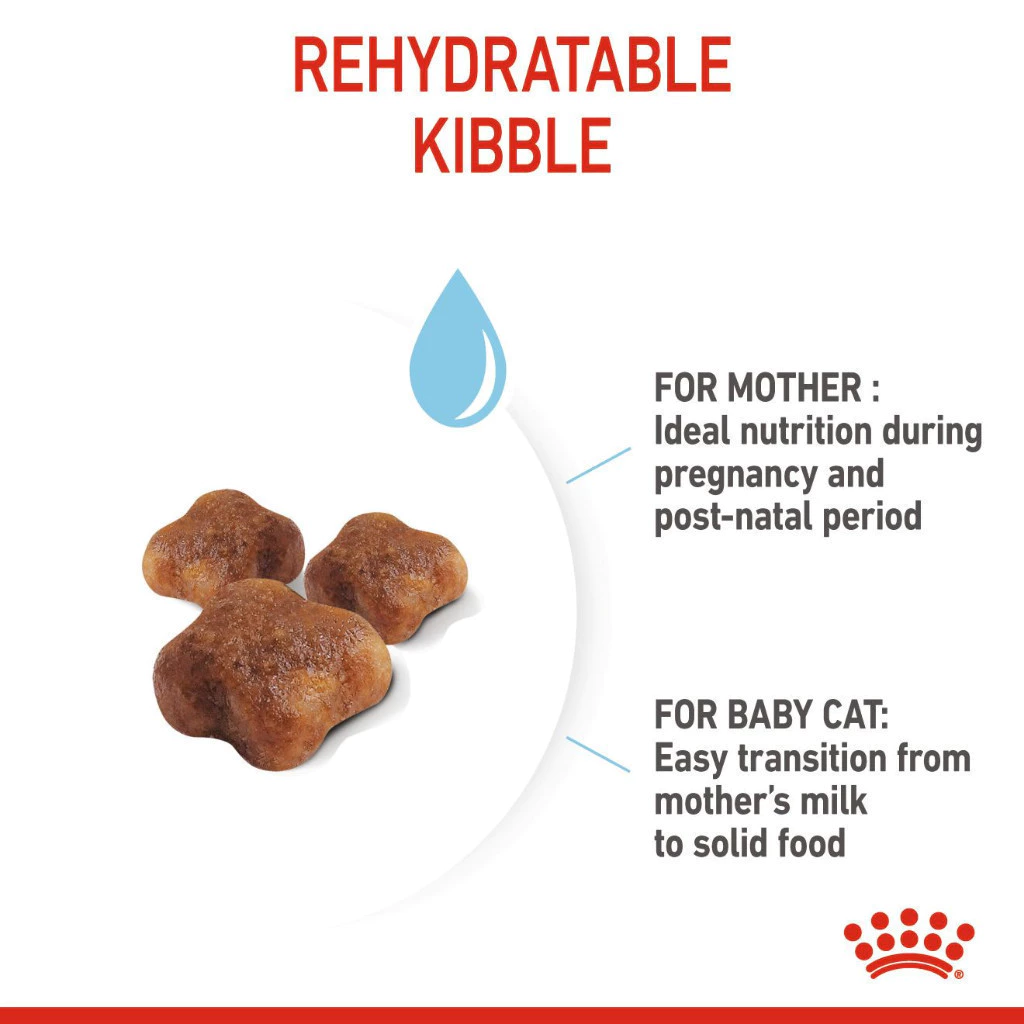 Starter Mother & Baby Cat 3