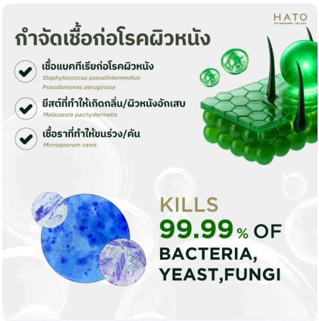 สเปรย์ดูแลผิวหนังและแผล สำหรับสัตว์เลี้ยง Wound & Skin Spray 3