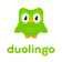 Duolingo Learn Korean 1