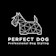 Perfectdog สถานที่เรียนตัดขนสุนัข 1