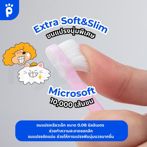 แปรงสีฟันแมว 3