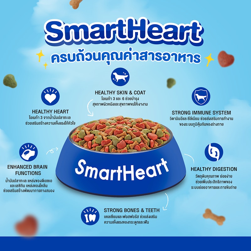 อาหารสุนัขโต รสสเต็กเนื้อ 3