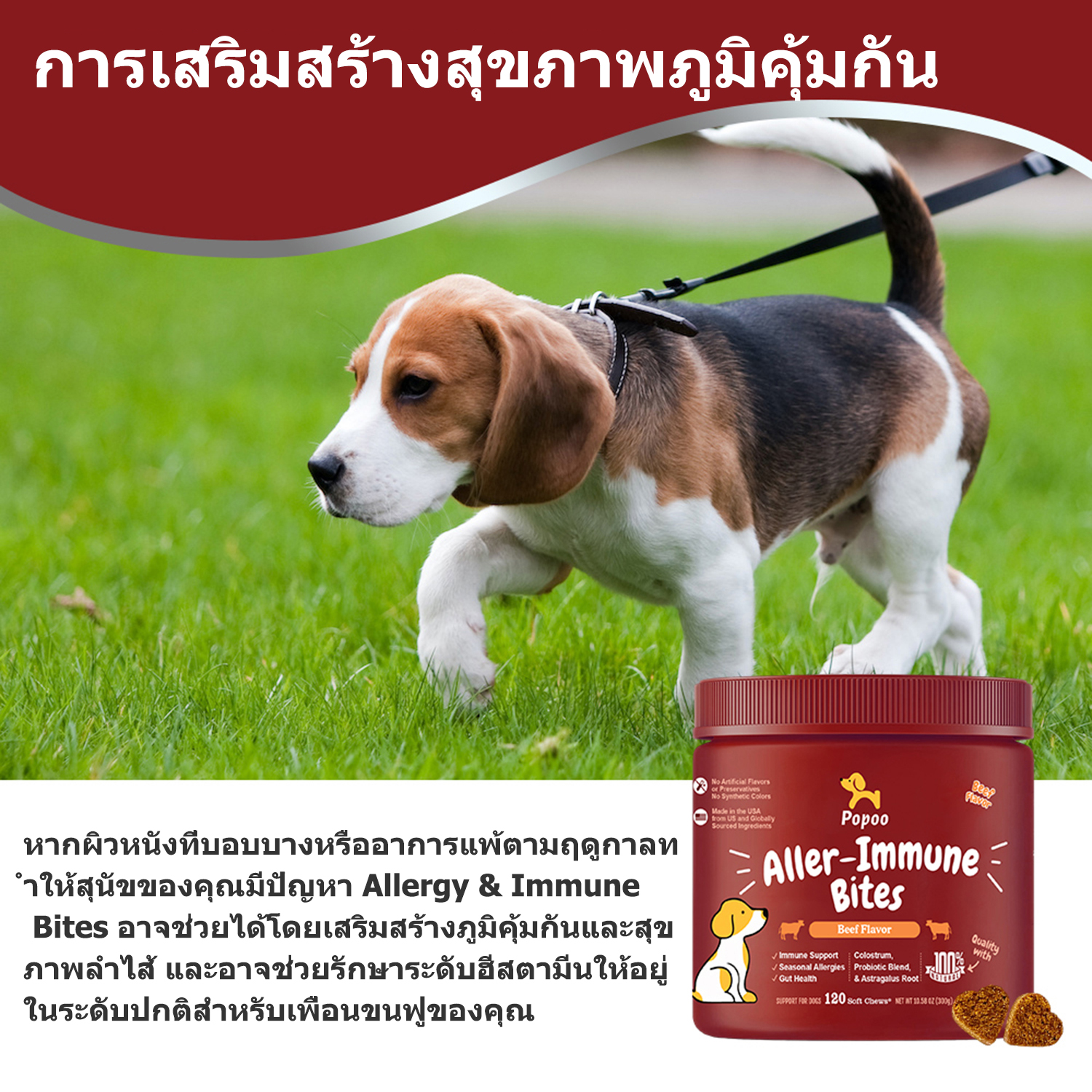 Aller-Immune Bites for Dogs Seasonal Allergies 2