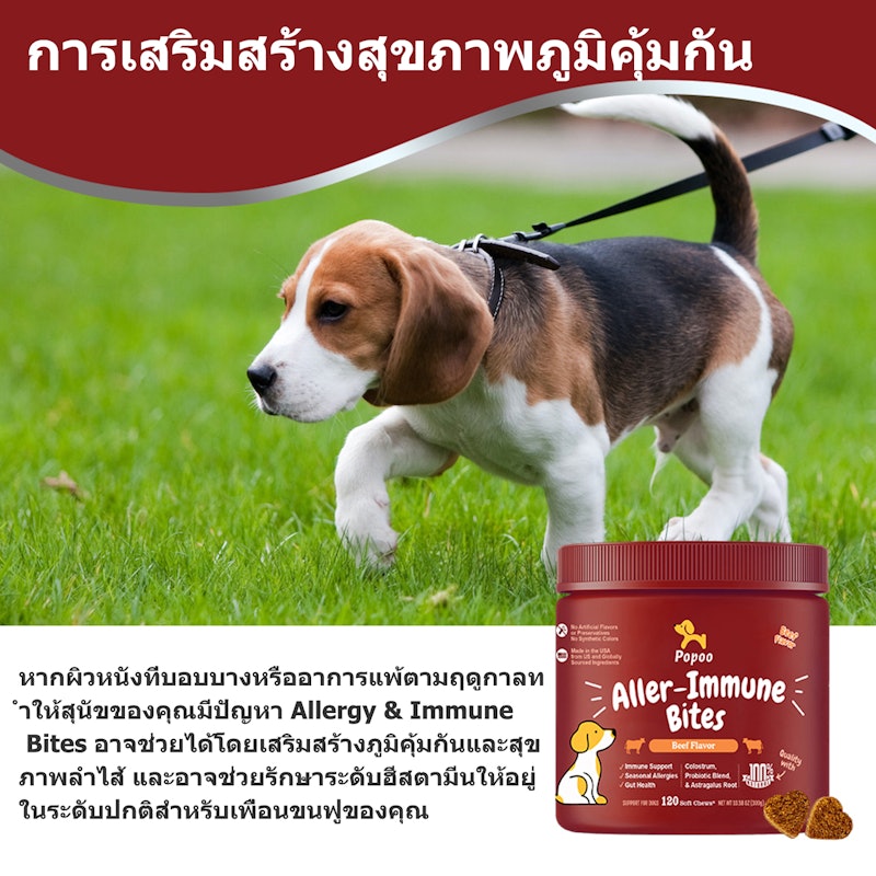 Aller-Immune Bites for Dogs Seasonal Allergies 2