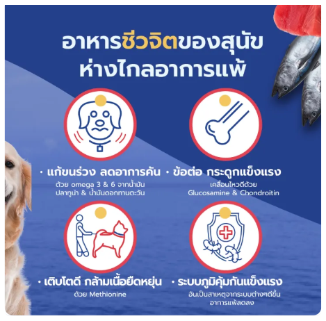 อาหารสุนัขเกรนฟรี สูตรทูน่า 2