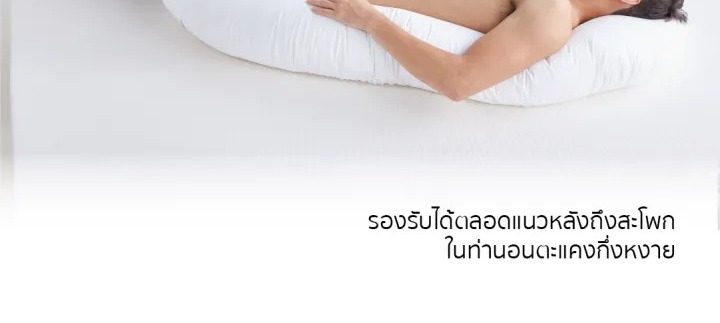  Nine Pillow หมอน Ergonomic 2