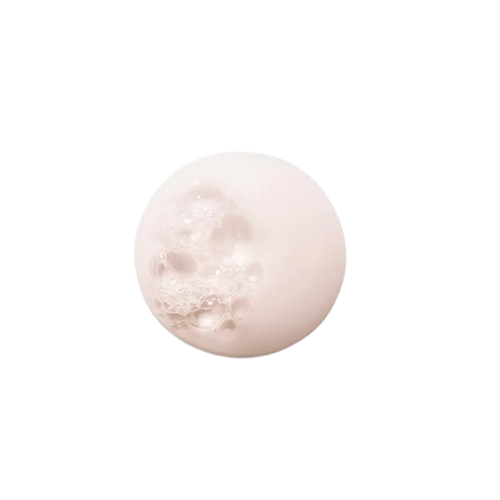 Chroma Absolu Shampoo 2