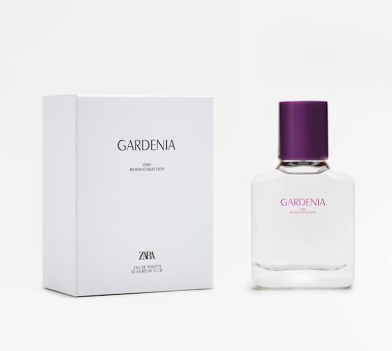 Gardenia 3