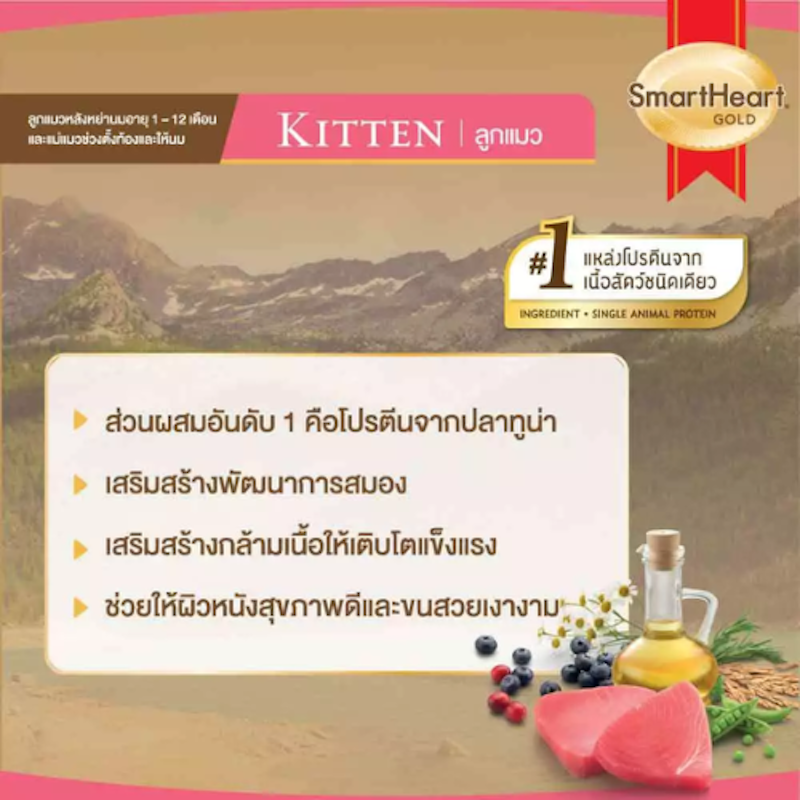 อาหารลูกแมว Kitten 1 Kg 3
