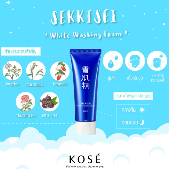 Sekkisei White Washing Foam 3