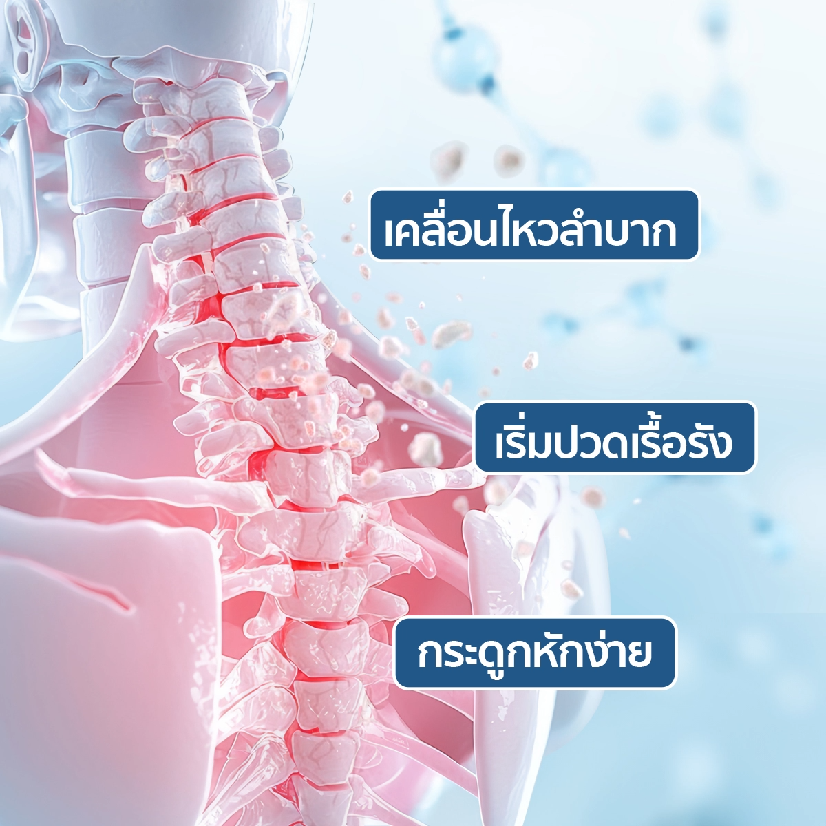 Calcium L - Threonate + Collagen Type II 2