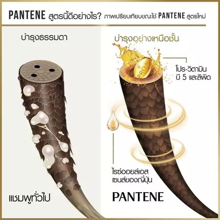 Pro-V Colour & Perm แชมพู 3