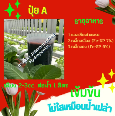 ปุ๋ย AB ชนิดเข้มข้น 2