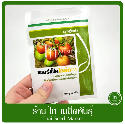 เมล็ดพันธุ์ มะเขือเทศ  2
