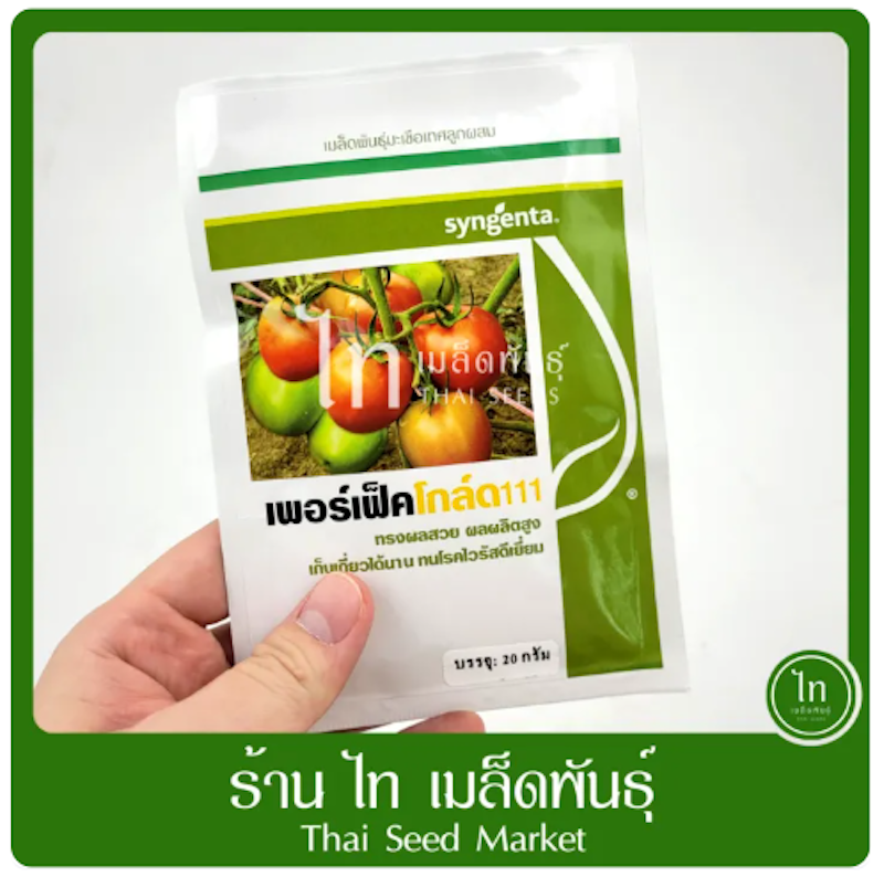 เมล็ดพันธุ์ มะเขือเทศ 2