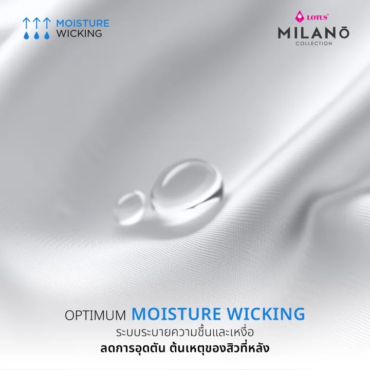 ผ้าปูที่นอน Milano 2