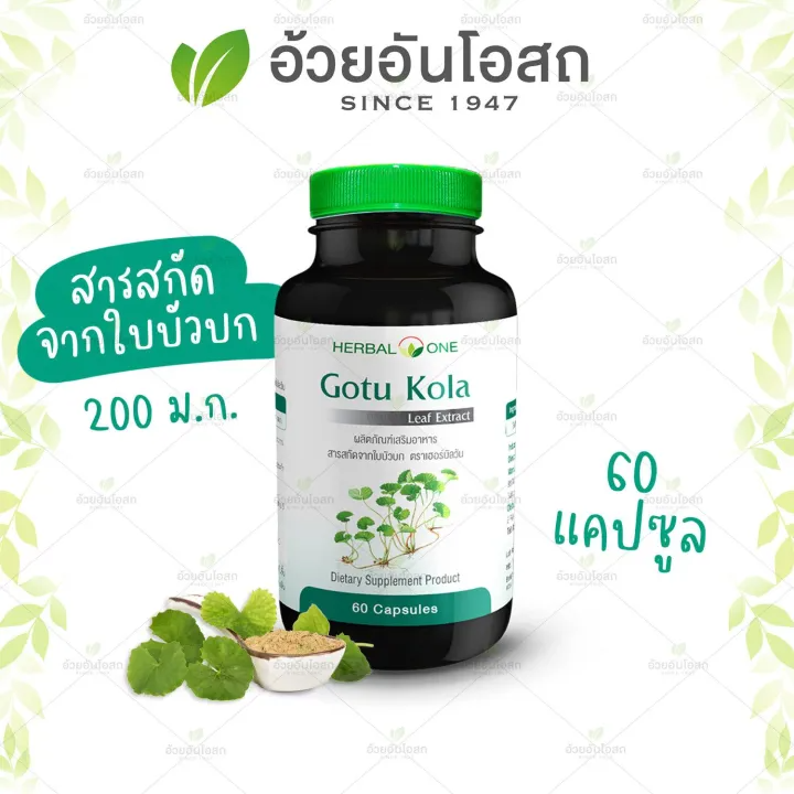 Gotu Kola สารสกัดจากใบบัวบก 2