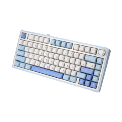 คีย์บอร์ดไร้สาย Gasket Mechanical Keyboard