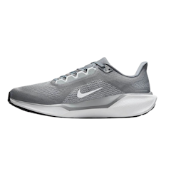 Pegasus 41