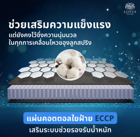 ที่นอนสุญญากาศ รุ่น Asleep III 6 ฟุต 2