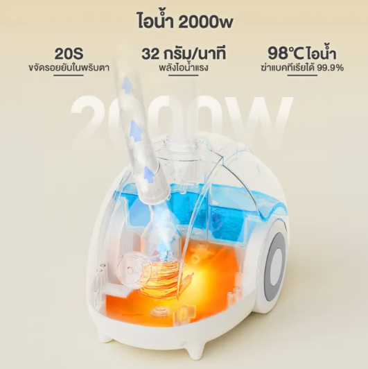 Garment Steamer  2