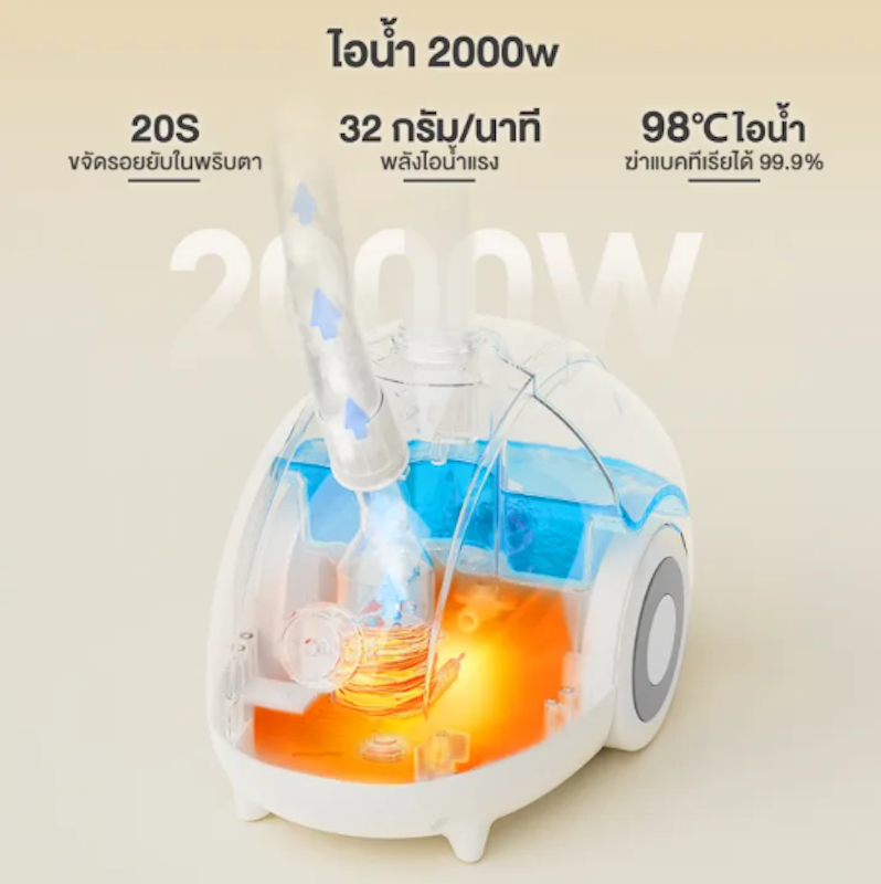 Garment Steamer 2