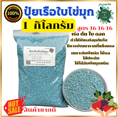 ปุ๋ยสูตร 16-16-16 2