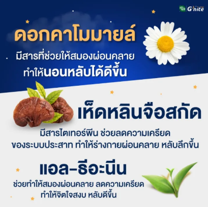 G'nite 2
