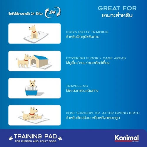 แผ่นรองฉี่สุนัข Training Pad 3