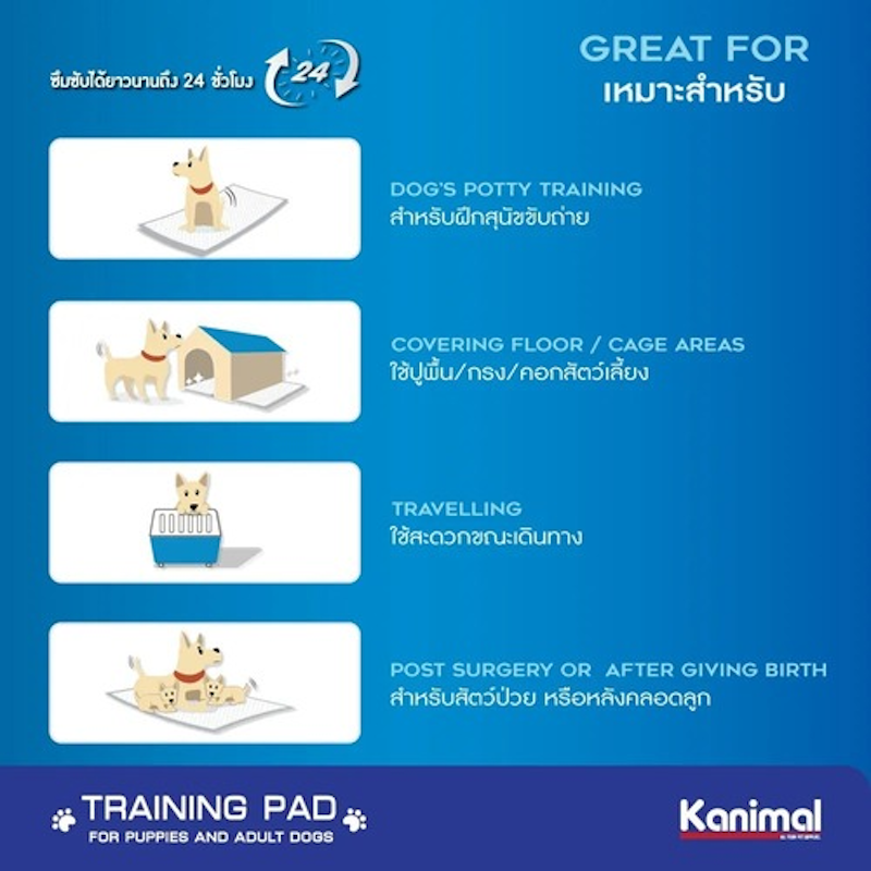 แผ่นรองฉี่สุนัข Training Pad 3