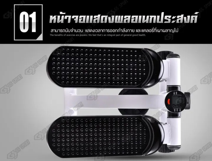 Mini Stepper 2