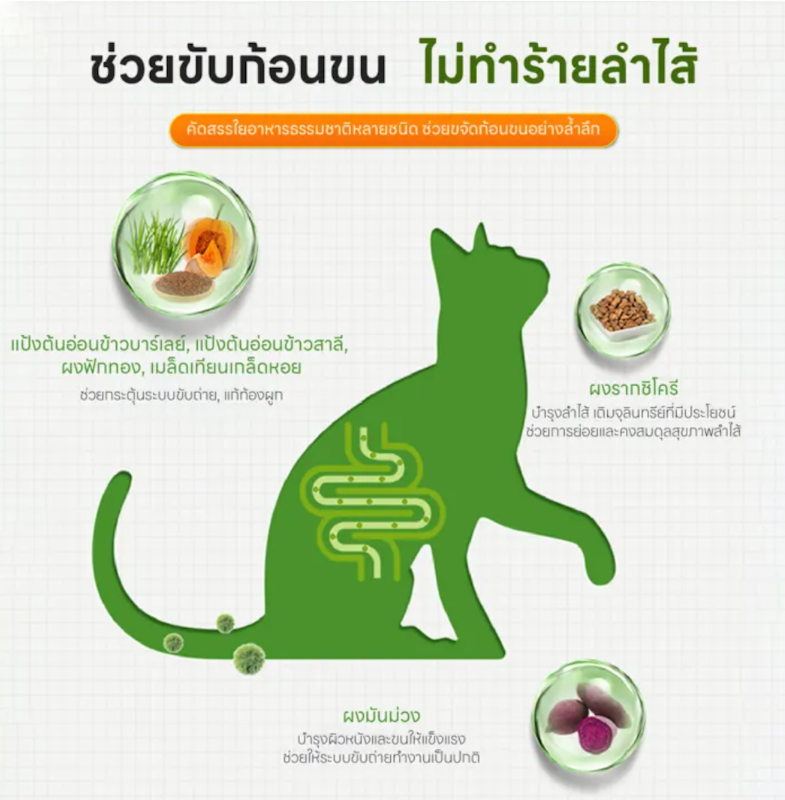 เจลขับก้อนขนแมว 2