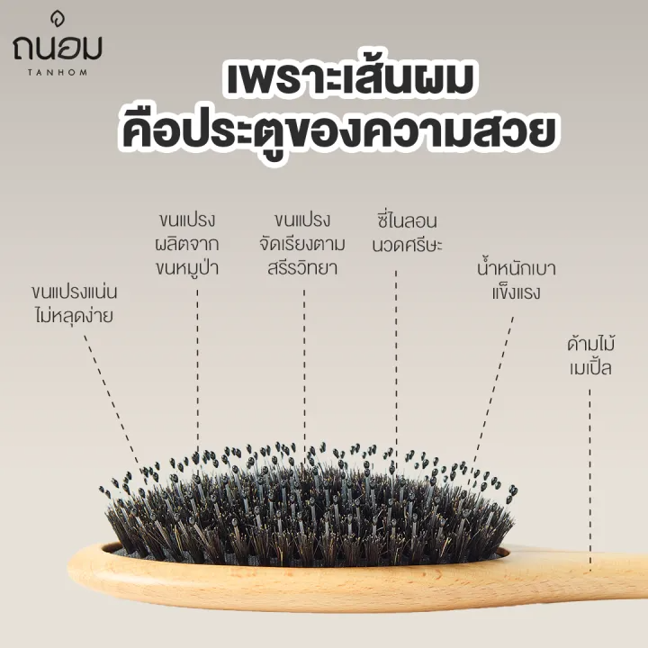 Boar Bristle Brush  2