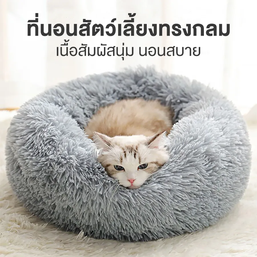 ที่นอนแมว 2