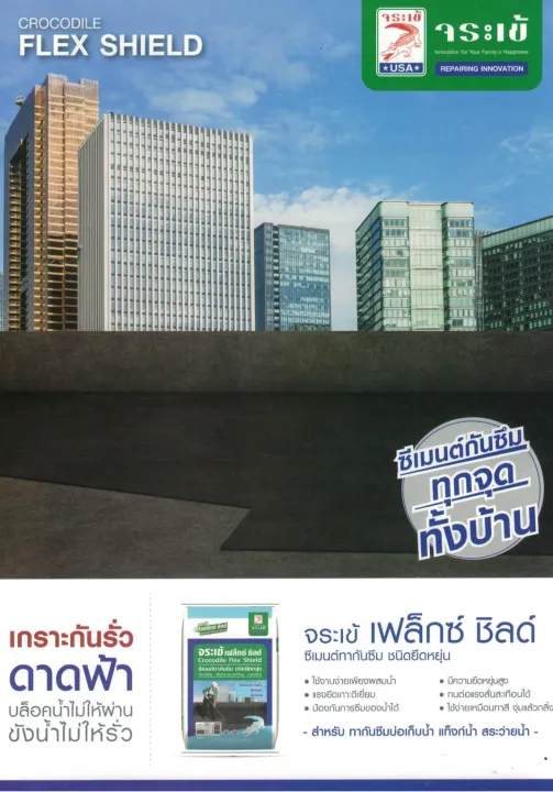 ซีเมนต์กันซึม Flex Shield 3