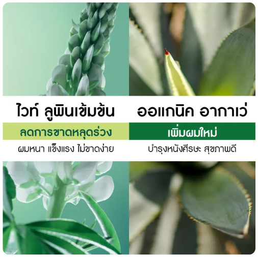 Anti-Hair Loss Shampoo 2