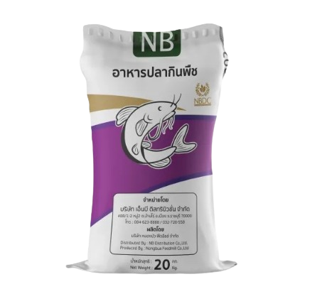 NB Fish 1