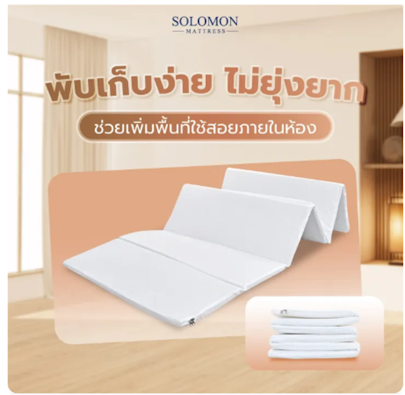 ที่นอนปิกนิกเพื่อสุขภาพ รุ่น Maple 2