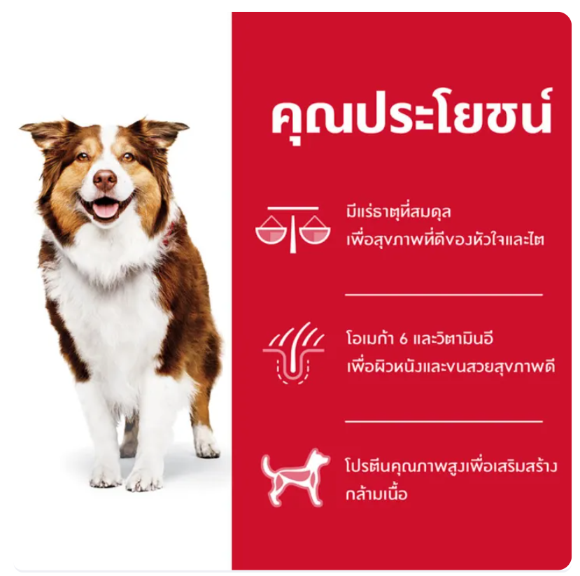 Science Diet อาหารสุนัข สูตร Adult 7+ 2