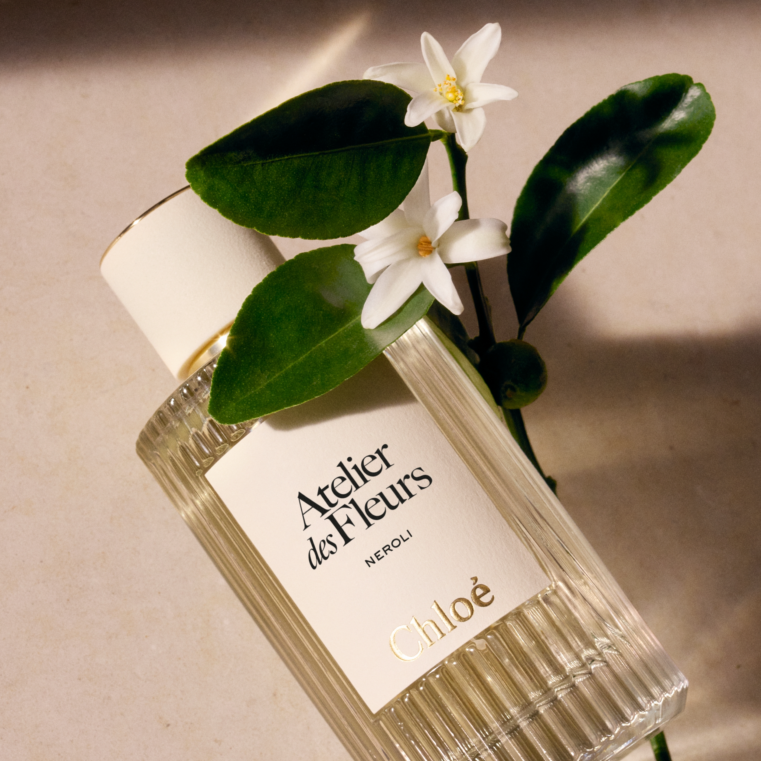 Atelier Des Fleurs Neroli 3