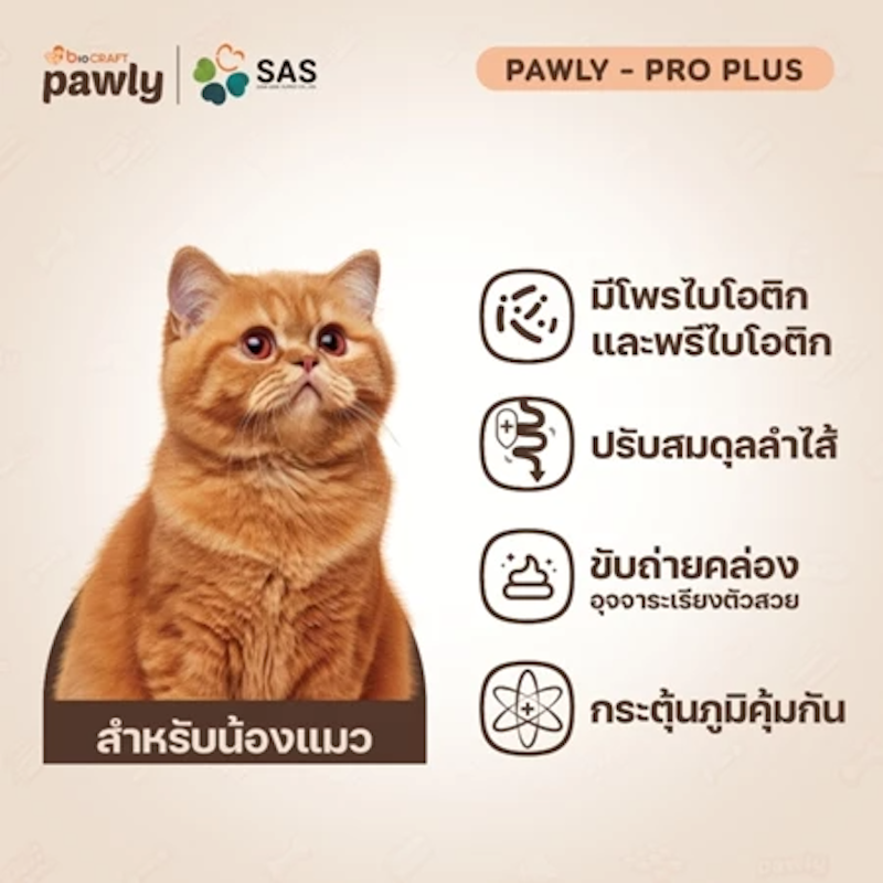 Pro Plus ผงโรยอาหารสำหรับแมว 3