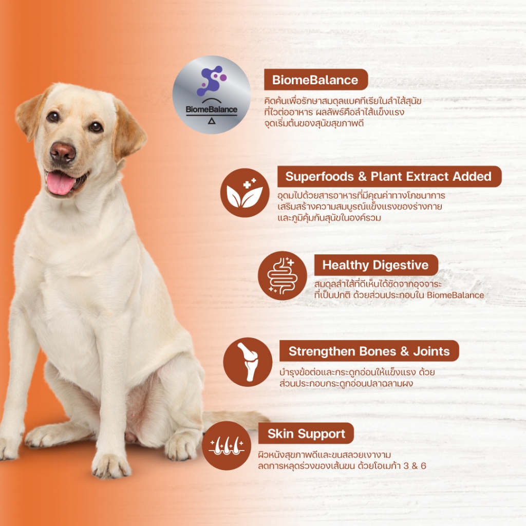 Large Breed 3