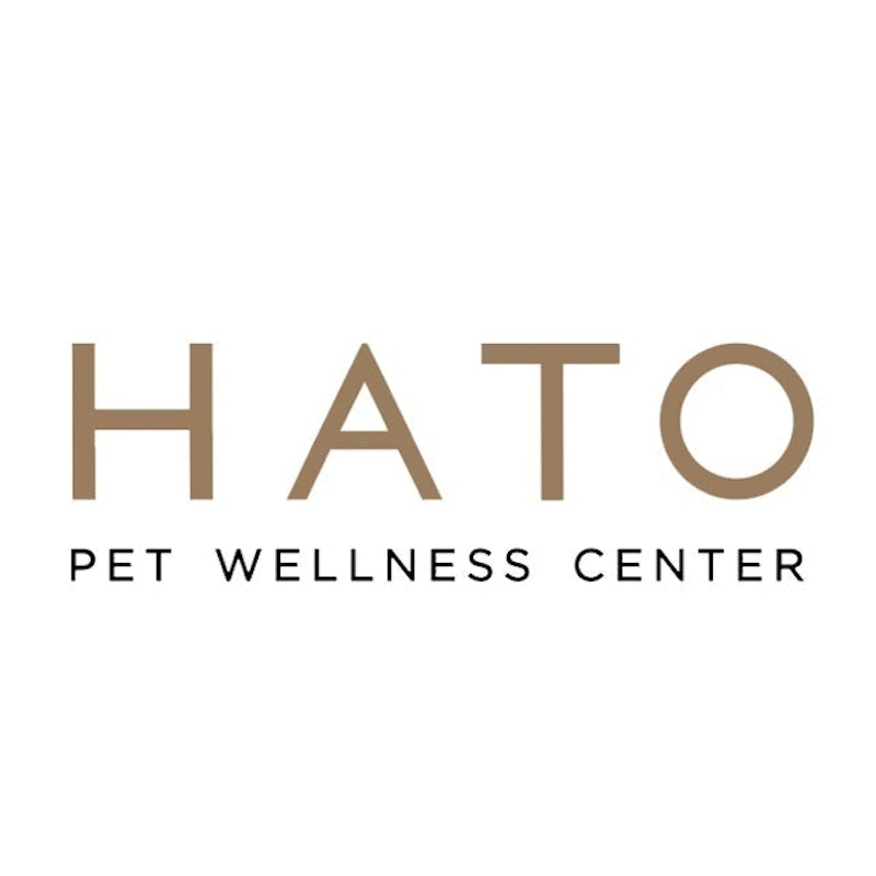 ตรวจสุขภาพสุนัข Hato Pet Wellness Center 1