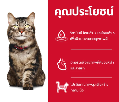 อาหารแมว  สูตรควบคุมปัญหาก้อนขน 3