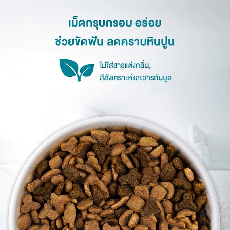 Healthy Kitten Formula 3