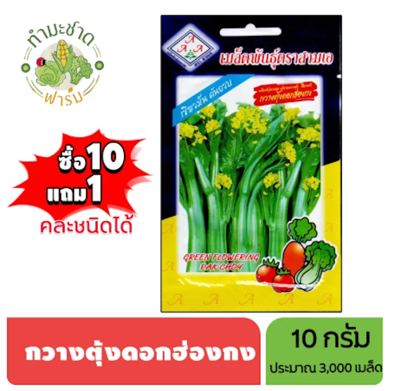 เมล็ดพันธุ์ผักกวางตุ้งดอกฮ่องกง 3