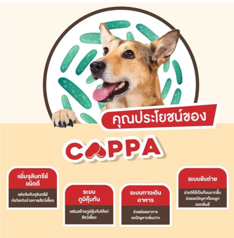 Cappa Synbiotic 2